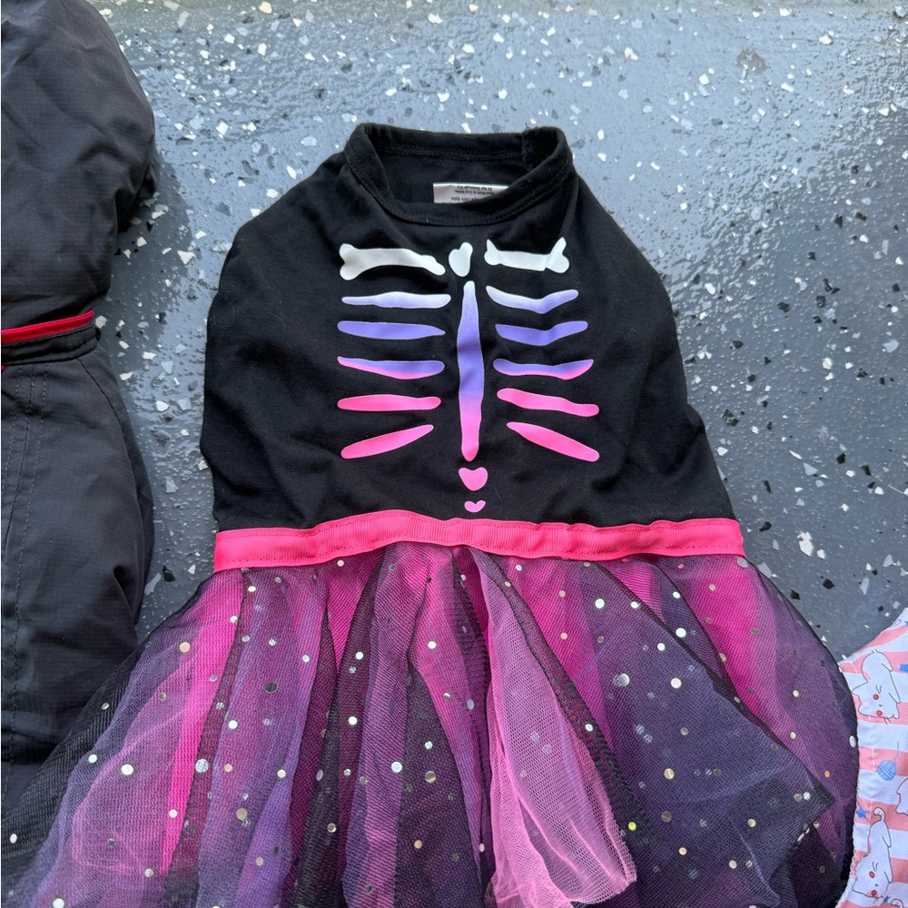 Colorful Dog Apparel Collection - Picture 8 of 9